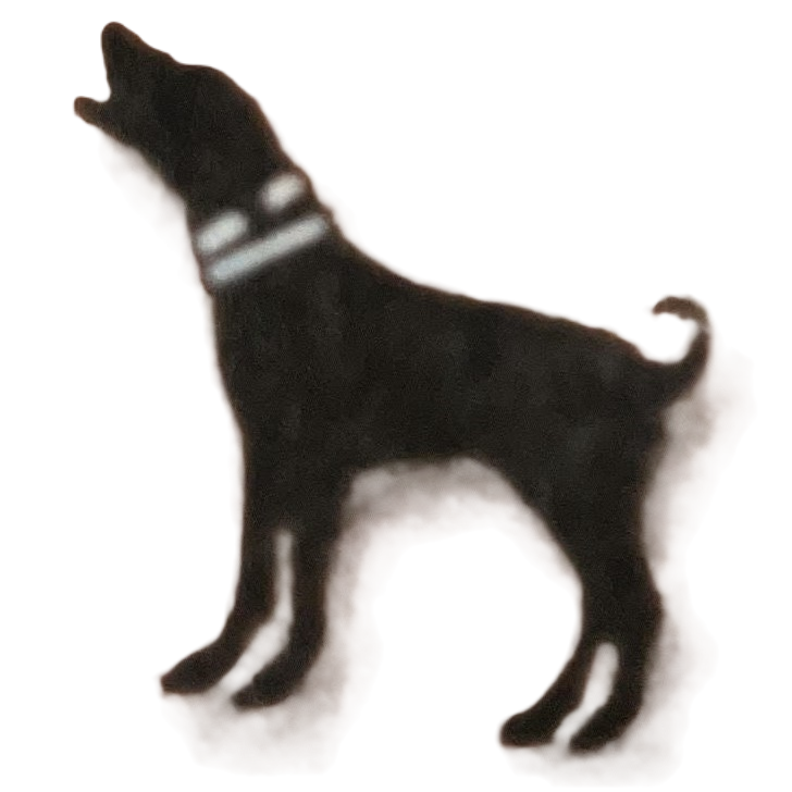 Summit Guiding and Outfitting